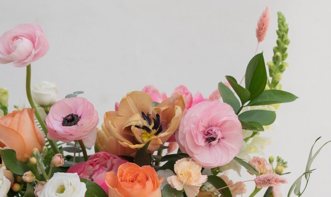 Brooke Castillo and the Life Coach School: Is It Worth $18,000?