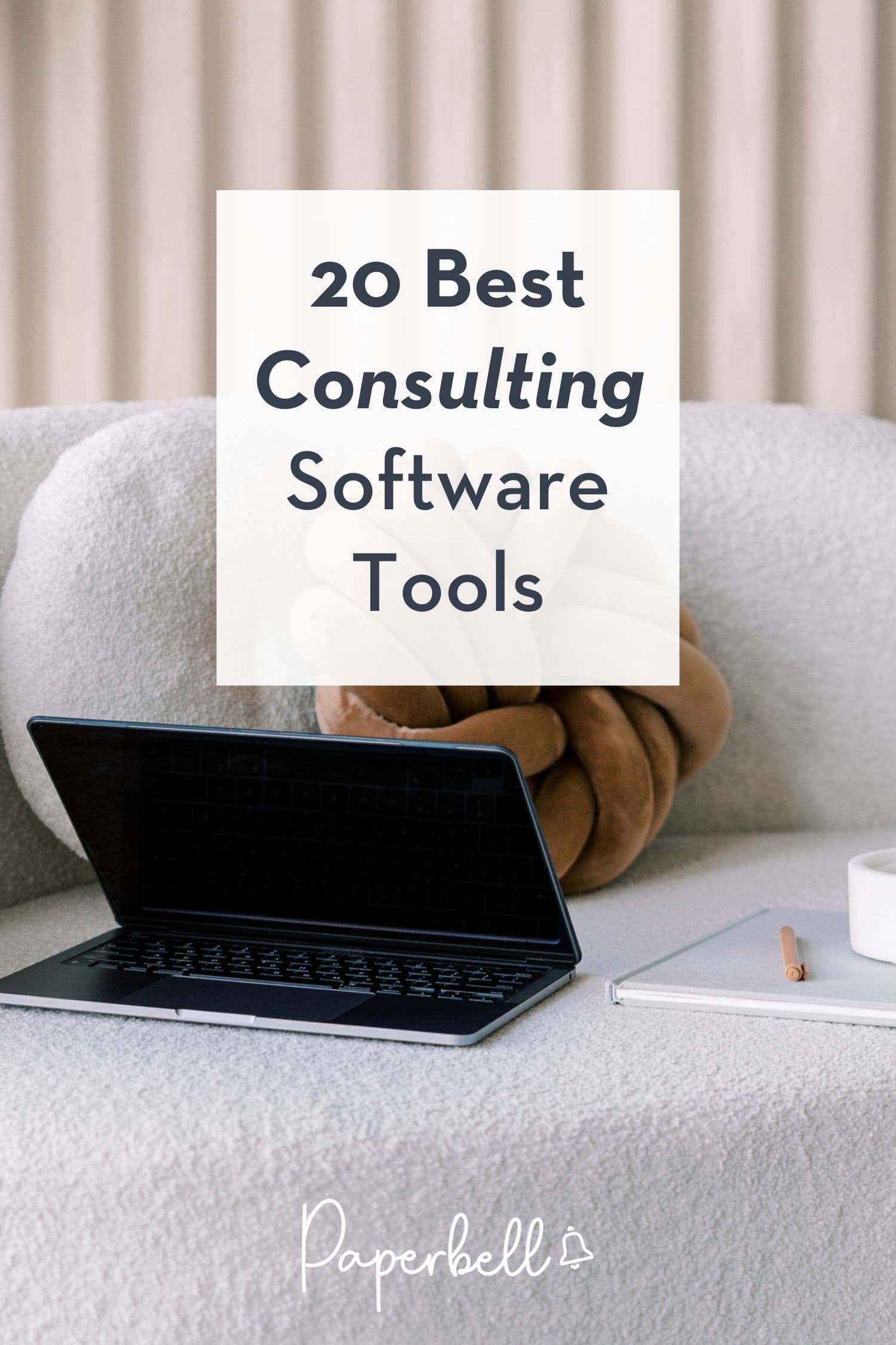 consultant software pin