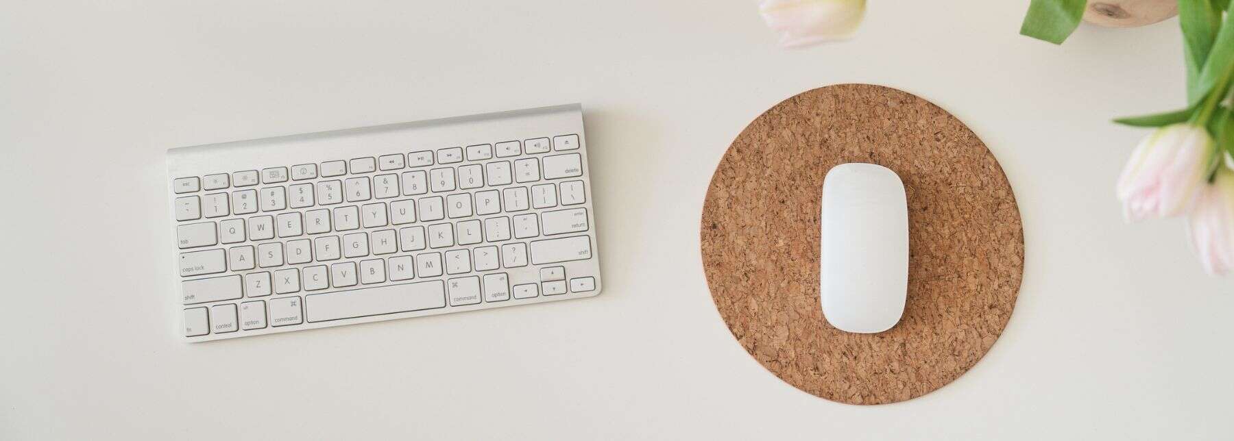 low cost online certificate feature