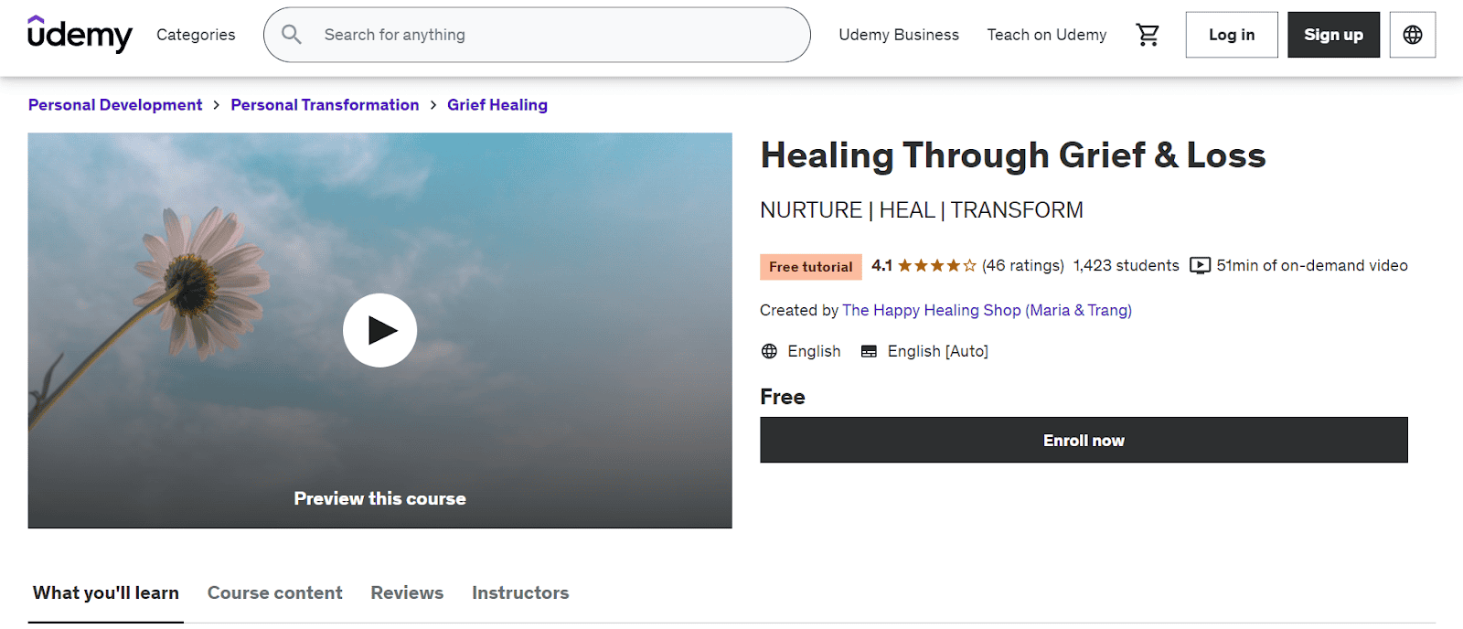 Healing Through Grief & Loss by The Happy Healing Shop