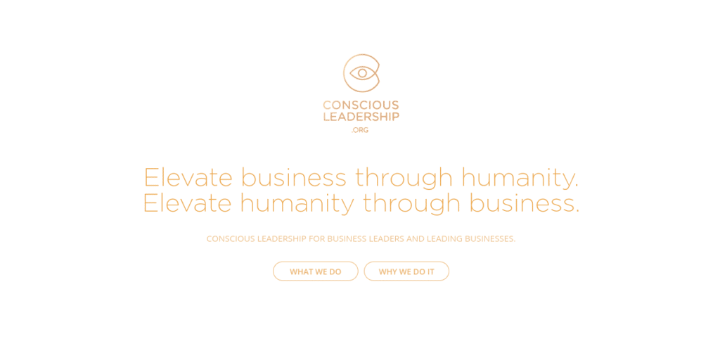 Conscious Leadership